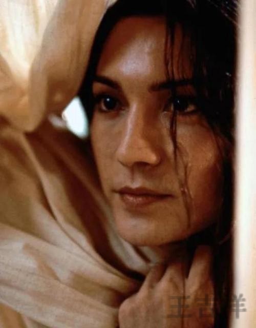 尊龙正规版官网入口与安全访问指南